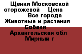 Щенки Московской сторожевой  › Цена ­ 25 000 - Все города Животные и растения » Собаки   . Архангельская обл.,Мирный г.